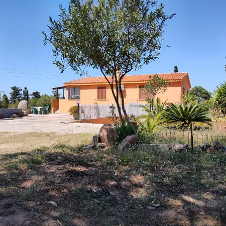 Dei Ginepri