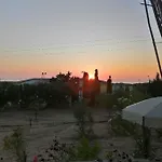 Dei Ginepri *