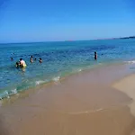 Dei Ginepri *